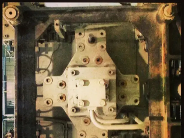 EU temporarily lifts customs tariffs for a duration of 90 days