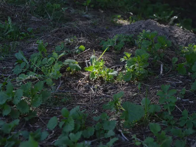 Green Power Purchasing Role in LEED Green Associate Certification: Defining the Unit