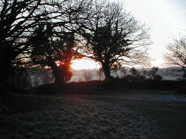 Autumnal landscape of Devon, England, illuminated by the rising sun in the year 2012.