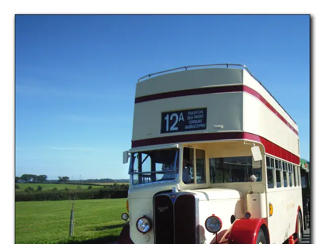 Child suffered severe injuries in a motor vehicle collision