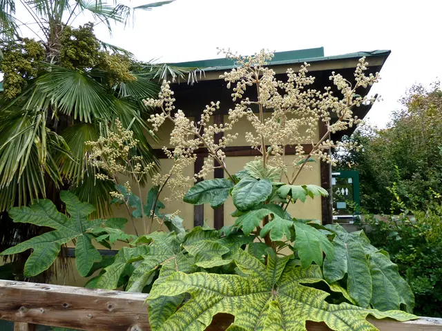 Police Headquarters Bochum Alerts Public About a Rise in Residential Burglaries