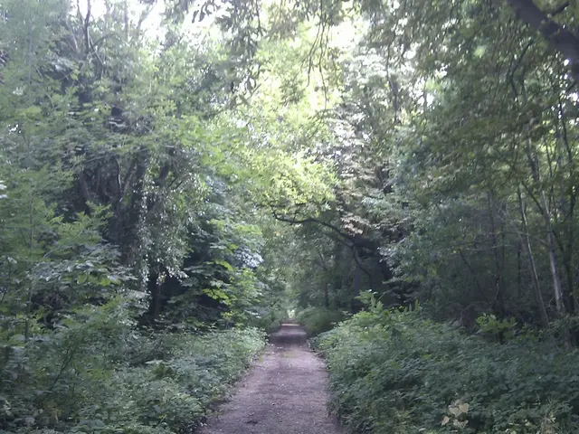 New round kicks off in the contest "Road Oases"