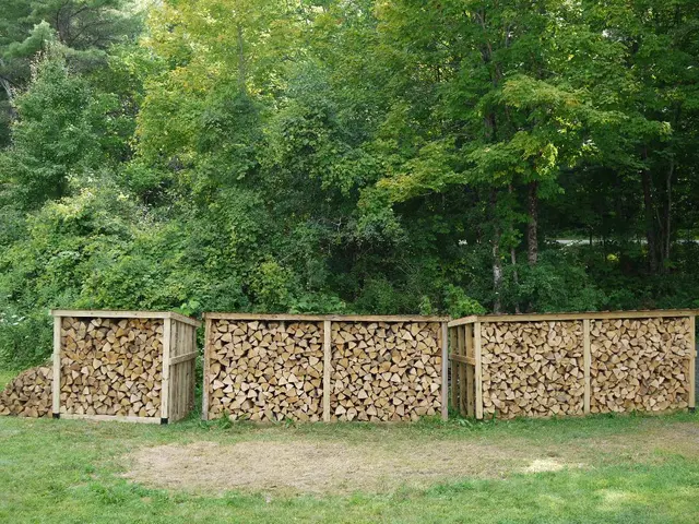 Beer industry waste transformed into cellulose nanofibers