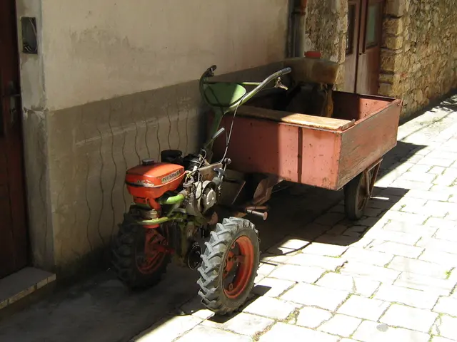 Individuals falling under the purview of this Directive encompass these specific groups: