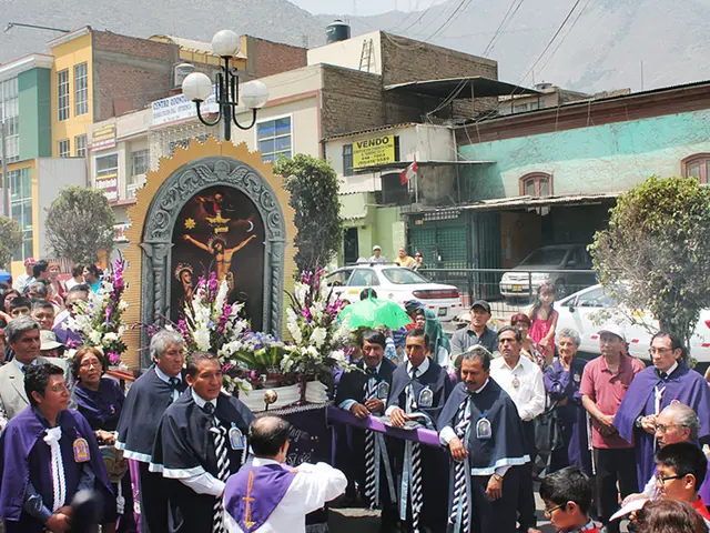 Proposed New Initiative by the Commission for Wide-reaching Implementation