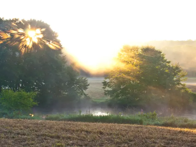 Anticipate a balmy, arid conclusion to the year 2025, according to the meteorologist's prediction