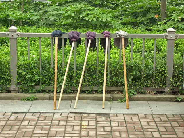 Government to seek International Monetary Fund's clarification about PL policy during Budget...