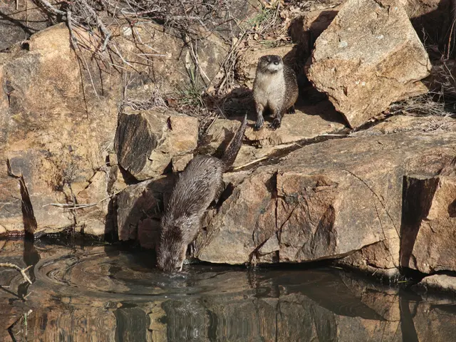 Woman Transitions from Vegetarianism to Hunting, Now Self-Inflicting Gunshots