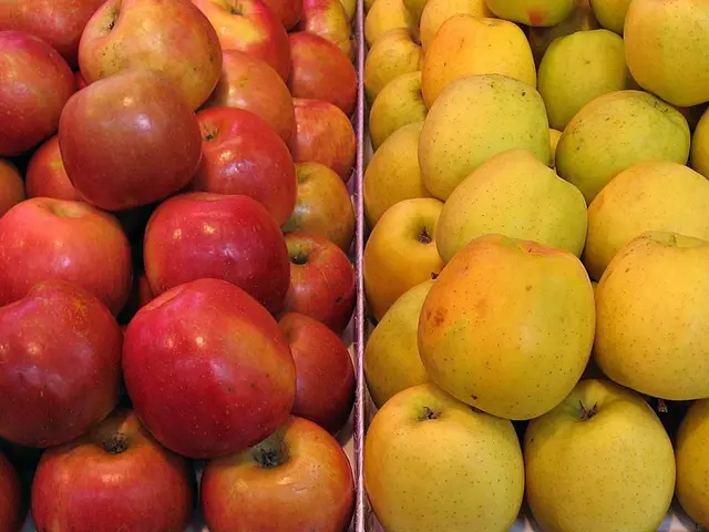 Exploring 13 Advantages of Apples Particularly for Female Well-Being