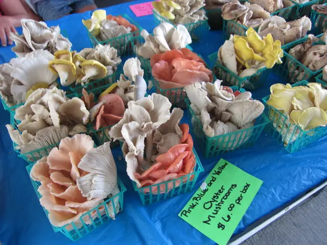 Belarus Emerges as a Prime Market for Russia's Key Commodities