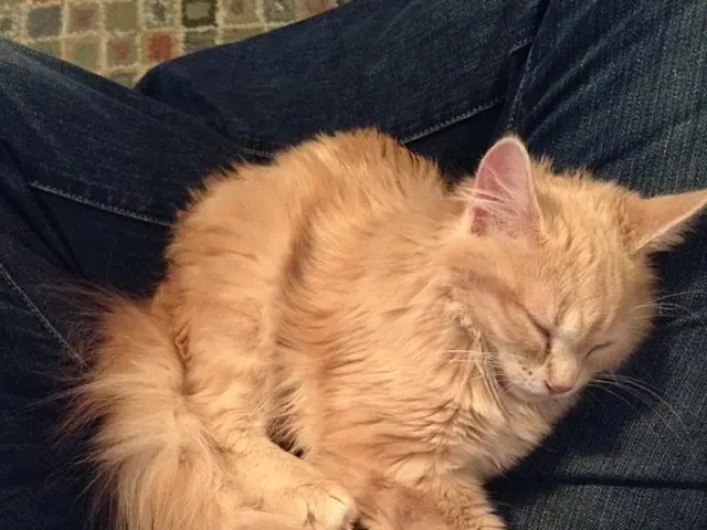 Heart Surgeons Successfully Conduct India's First Aortic Valve Replacement with Innovative Valve at...