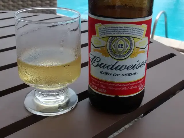 Chlorine Gas Employment in Swimming Pools: An Examination of Its Role