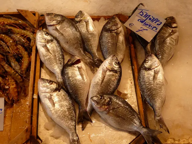 Pakistan aims for $600 million in seafood exports through partnerships with China and an emphasis...