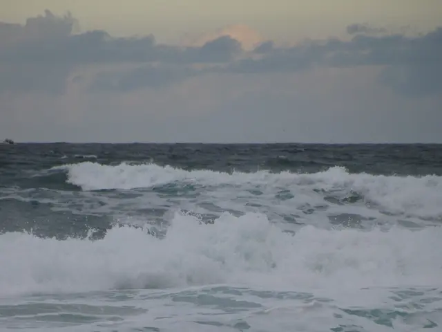 Importance of Regular Health Checks in the Monsoon Season