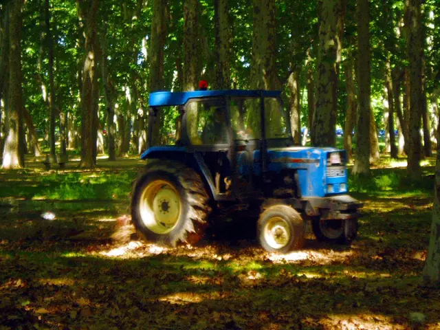 Robot Lawn Mower Discount: Save Nearly 50% on Amazon's Favorite Lawn Mowing Solution