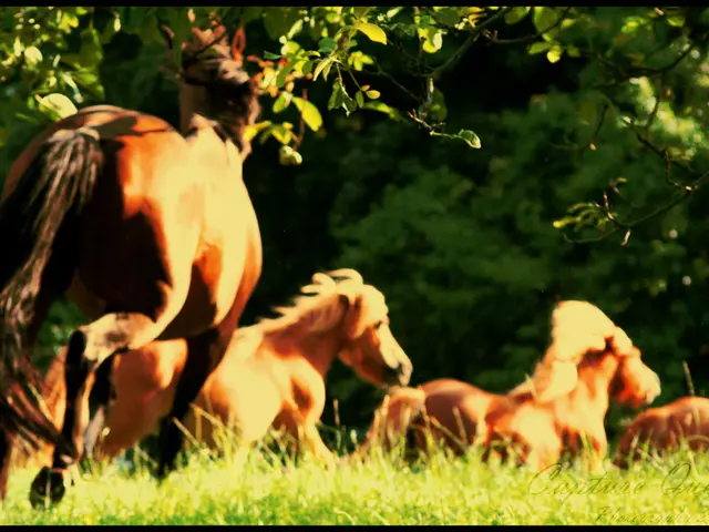Horse owners in Kentucky advised to prepare ahead, purchase hay stocks early due to weather-induced...