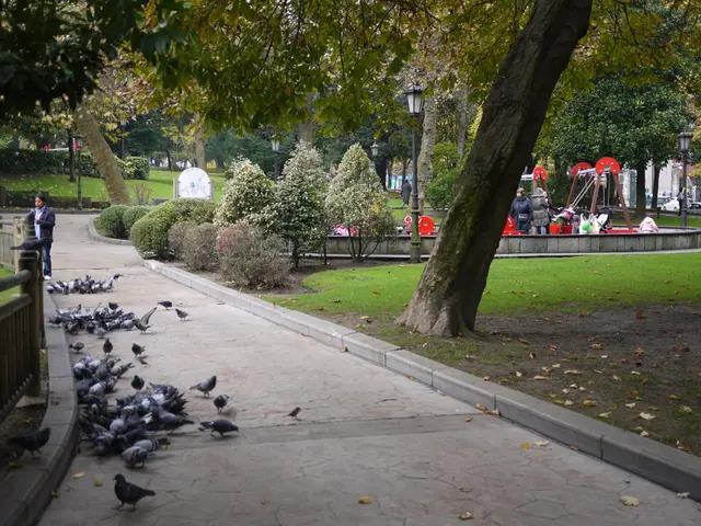 Completed construction of a spacious animal shelter at the playground for adventure in Batenbrock,...