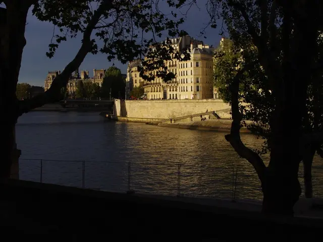 Rehabilitating the Wisconsin Point Peninsula within the St. Louis River Estuary's Ecosystem...
