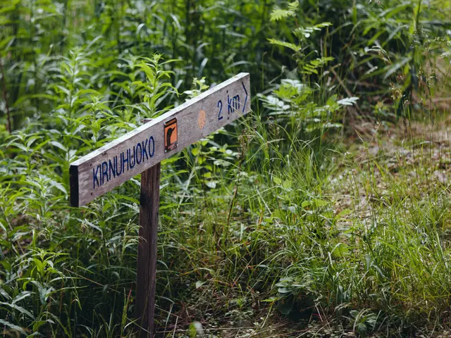 Blockchain technology and EcoCreds team up to increase the utilization of environmentally friendly...