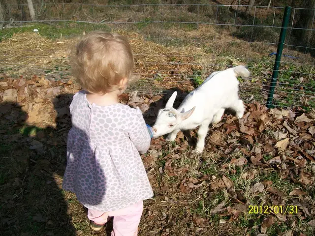 Urban Company's Initial Public Offering Guidance on Market Price: This article reveals signals from...