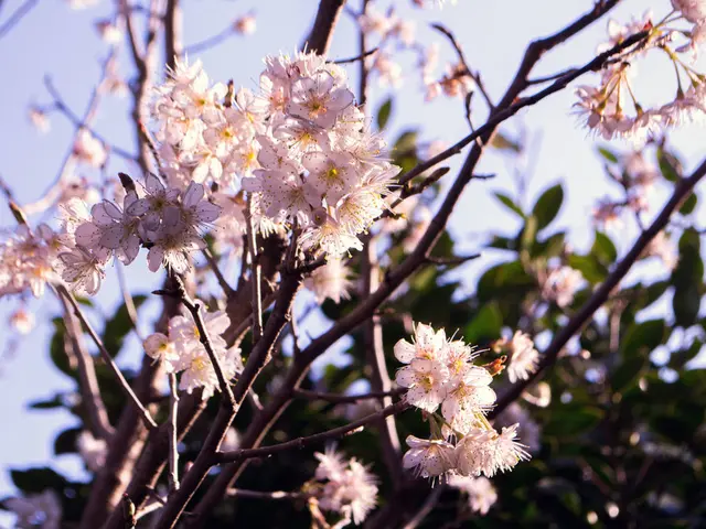 Thunderous clouds forecasted for Angra dos Reis on Sunday (07)
