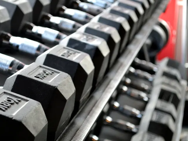 Starting dumbbell exercises recommended by a skilled coach for beginners to establish overall...