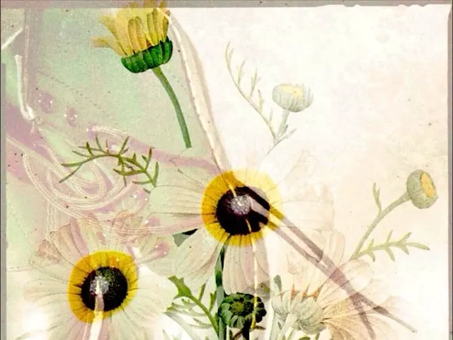 Fashion influencer Alexa Chung teams up a vibrant pink Chloé dress with this year's daring...