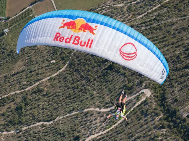 "Newcomers Leap into the Fray"