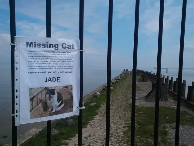 Brazilian oil company Petrobras mulls potential deep-sea exploration ventures in Nigeria, according...