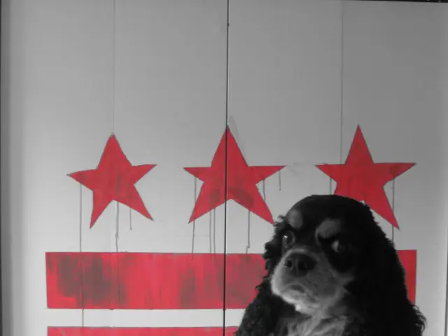 A dog trailing after you could signify various things: it might have developed a strong bond with...