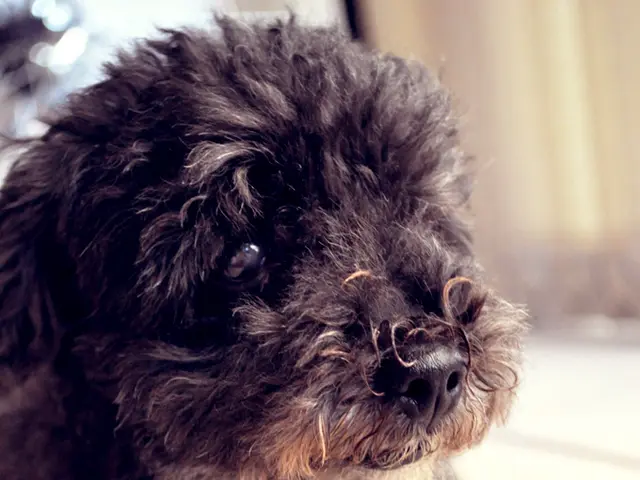 Remaining years calculation sought