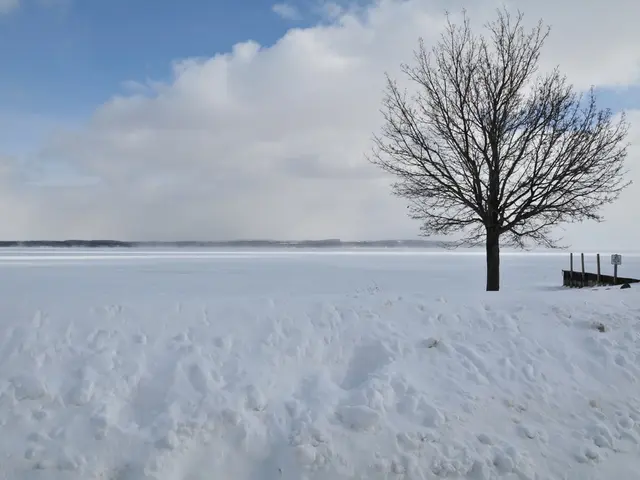 Yakutsk's forecast for Thursday anticipates temperatures rising up to 19 degrees Celsius.