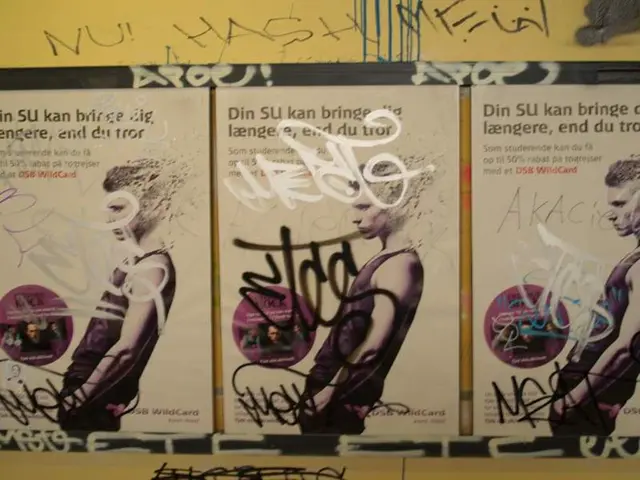 Summer of Solidarity Recall: Pro Asyl Stands as a Testimony