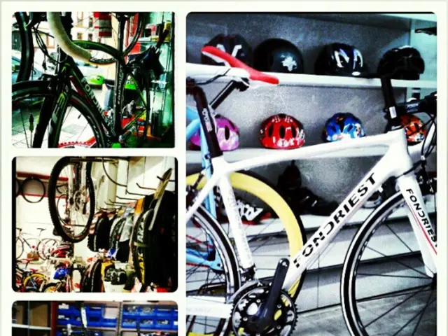 Teenage cyclist hurt in Winsen; police seek potential eyewitnesses for investigation