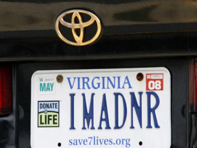 Financial Information at Large: Comprehensive Overview