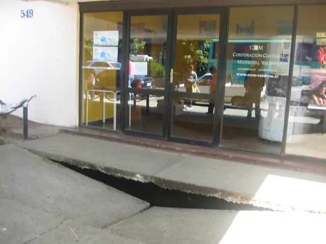 Unfortunate Collision Results in Bodily Harm