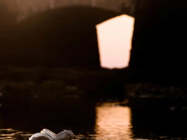 Intruders Forced Entry into Storage Containers