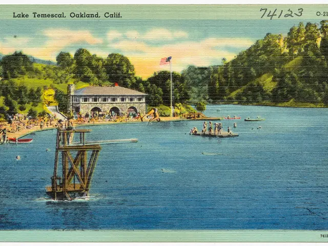 Intelligence Measurement: Take the Challenge! Twelve Test Questions to Test Your Scholarly Skills -...