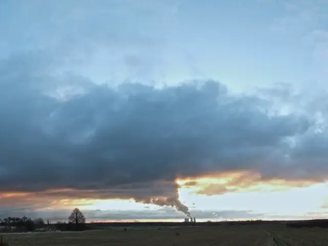 Impact of Atmospheric Pollutants and Their Long-term Consequences on the Environment