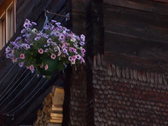 Windswept Bonsai Style (Moyogi): Cultivating Dynamic Flow and Grace