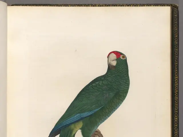 Guide to Motivational Quotes by Og Mandino: Exploring Deep Insights and Wisdom