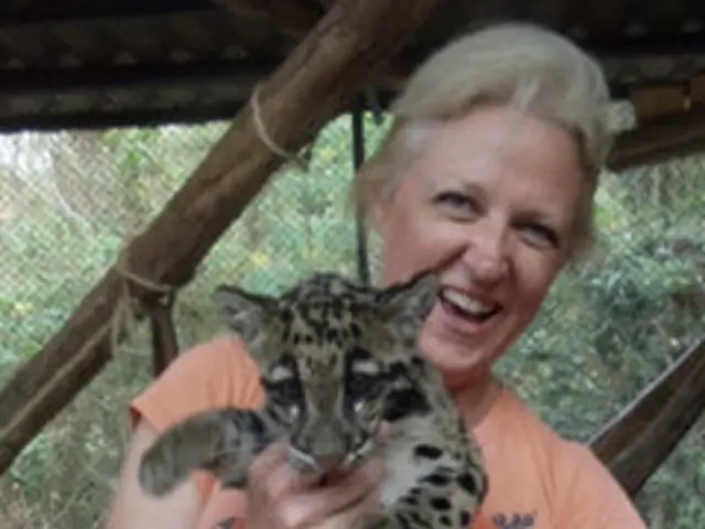 Cats and human affection: an expert shares their insights