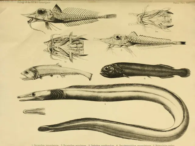 Diplomatic ties forged between Armenia and Pakistan