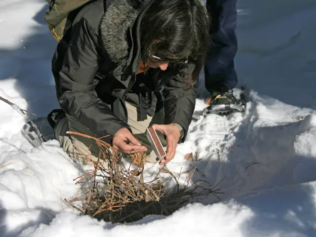 "We're finding no support or assistance"