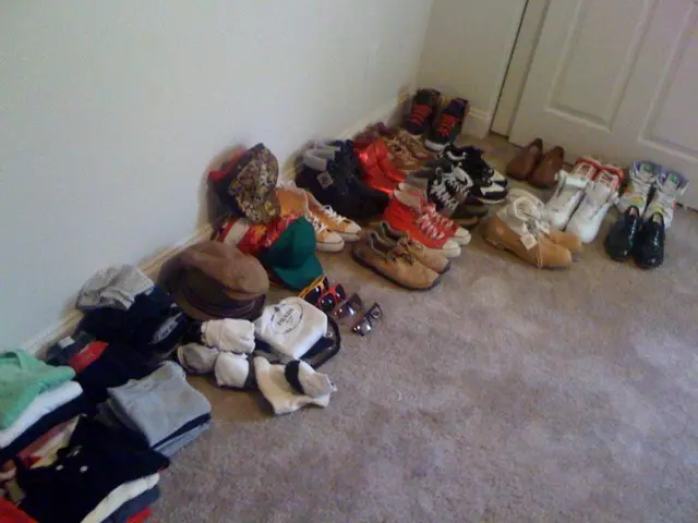 Criminal in Gronau panics after break-in incident