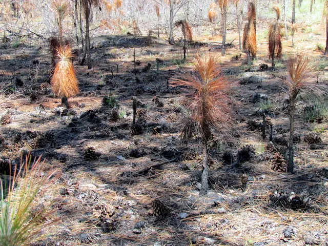 Findings on Crop Varieties Resulting from the 2025 Collaborative Agricultural Project