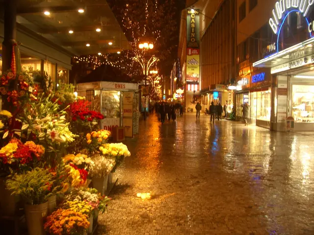 "The 'Road Oases' contest initiates a fresh round"