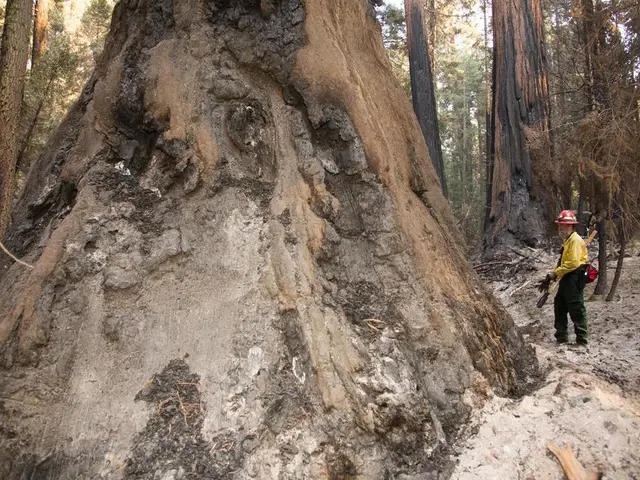 Law enforcement officials in Poland discovered a trend involving wave-riding on stationary objects.