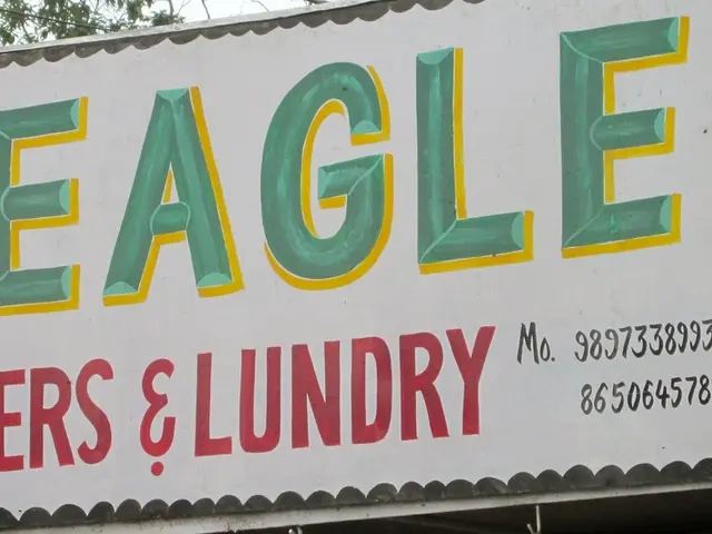 Should I Invest, Offload, or Maintain Ownership of American Eagle Shares?