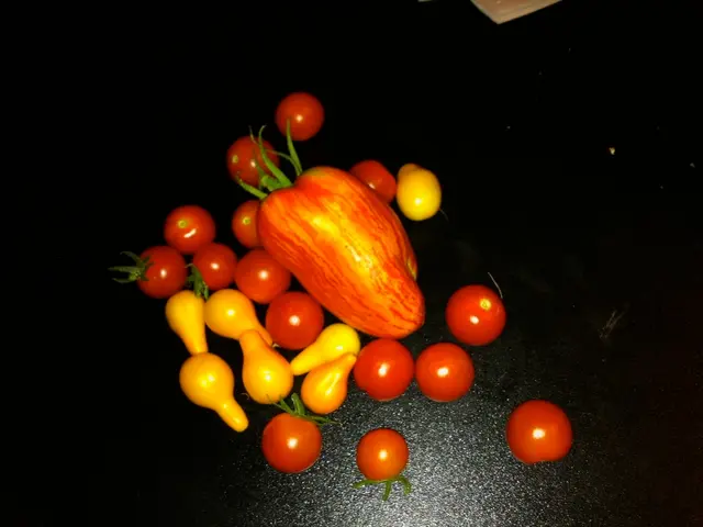 New game launched: Lucky LemonsTM, developed by Games Global and Snowborn Games